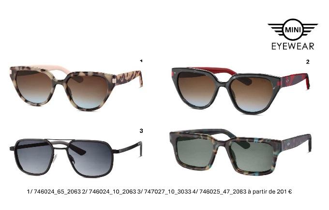 Lunettes 1